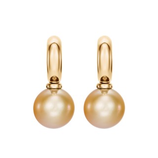 Yellow Gold Earrings With Golden South Sea Pearls