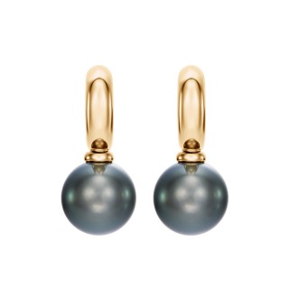Yellow Gold Earrings With Tahitian Pearls